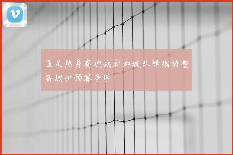 国足热身赛迎战新加坡队锋线调整备战世预赛争胜