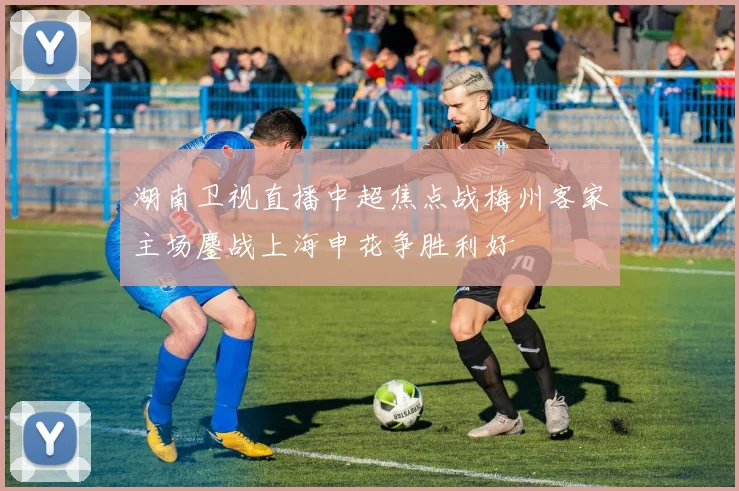 湖南卫视直播中超焦点战梅州客家主场鏖战上海申花争胜利好