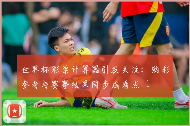 世界杯彩票计算器引发关注：购彩参考与赛事结果同步成看点_1