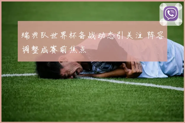 瑞典队世界杯备战动态引关注 阵容调整成赛前焦点