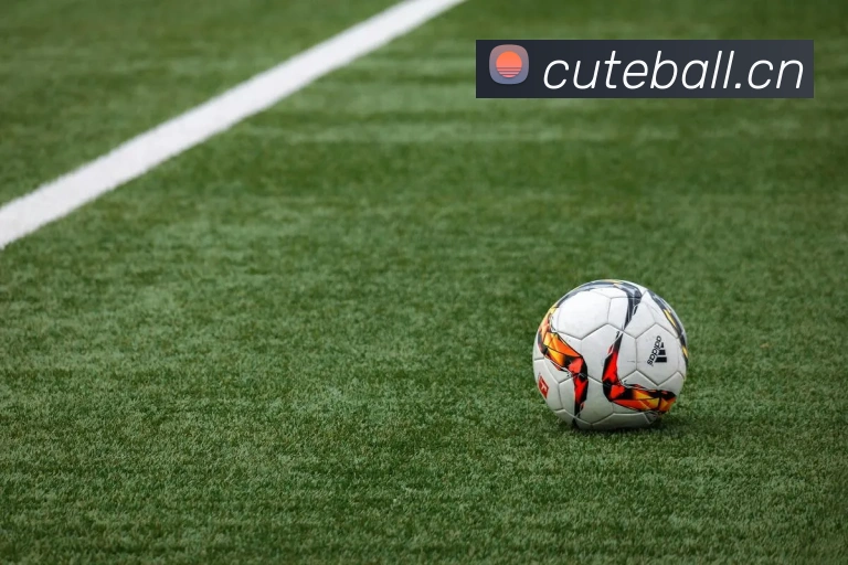 开云官方登陆入口平台生态图